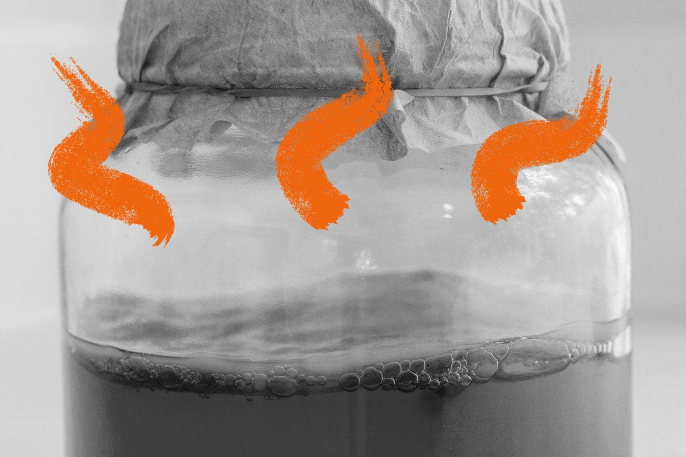 Where did all that fermentation go? A brief history of fermented foods