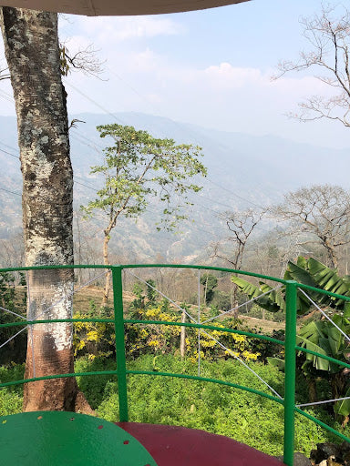 DARJEELING TRAVELS: DAY 3