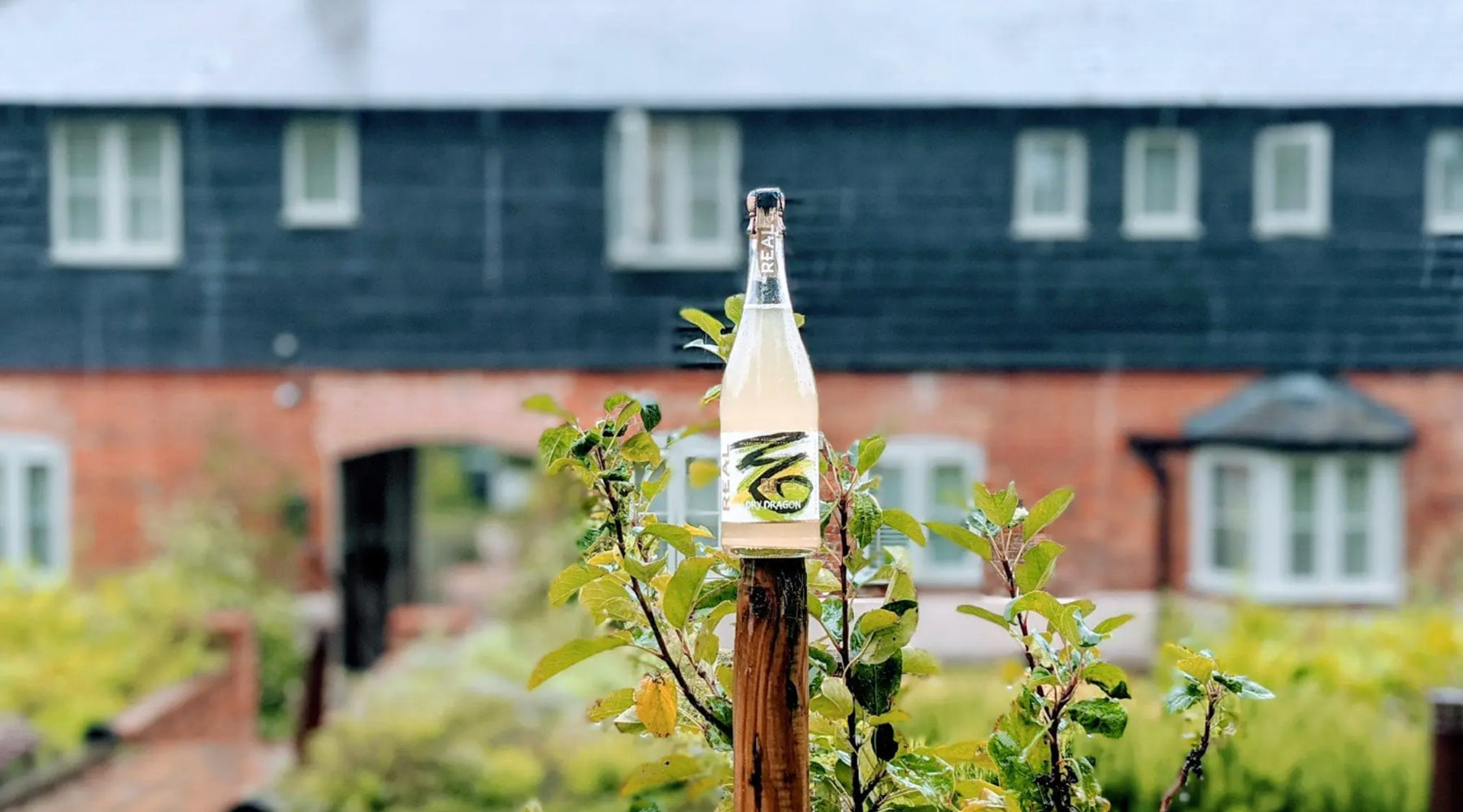 REAL X The Pig: Talking Fermentation